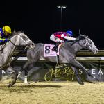 Ennis Eyes Derby Trail After Great White Strikes in Battaglia Memorial